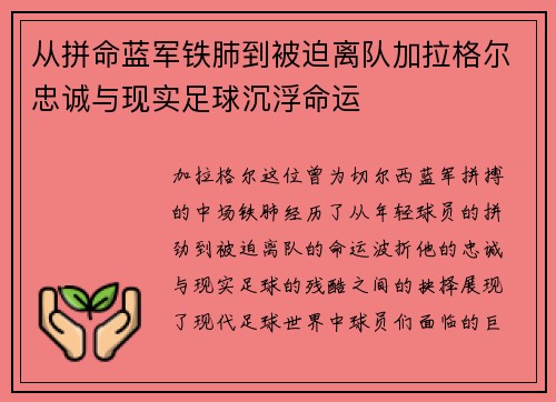 从拼命蓝军铁肺到被迫离队加拉格尔忠诚与现实足球沉浮命运 从拼命蓝军铁肺到被迫离队加拉格尔忠诚与现实足球沉浮命运
